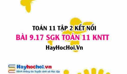 Bài 9.17 SGK Toán 11 Tập 2 Kết nối tri thức